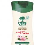 Douche fleur cerisier arbre vert